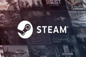 2013 Steam Accounts | Verified by email http://flowmail.cc, email is included in package. The profiles information is partially filled.
