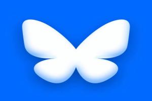 Bluesky account 0+ followers file format Username:pass:mail
